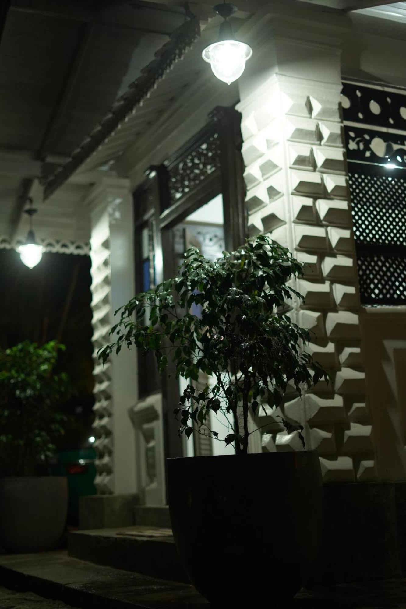 Medusa Bungalow - Galle Exterior photo